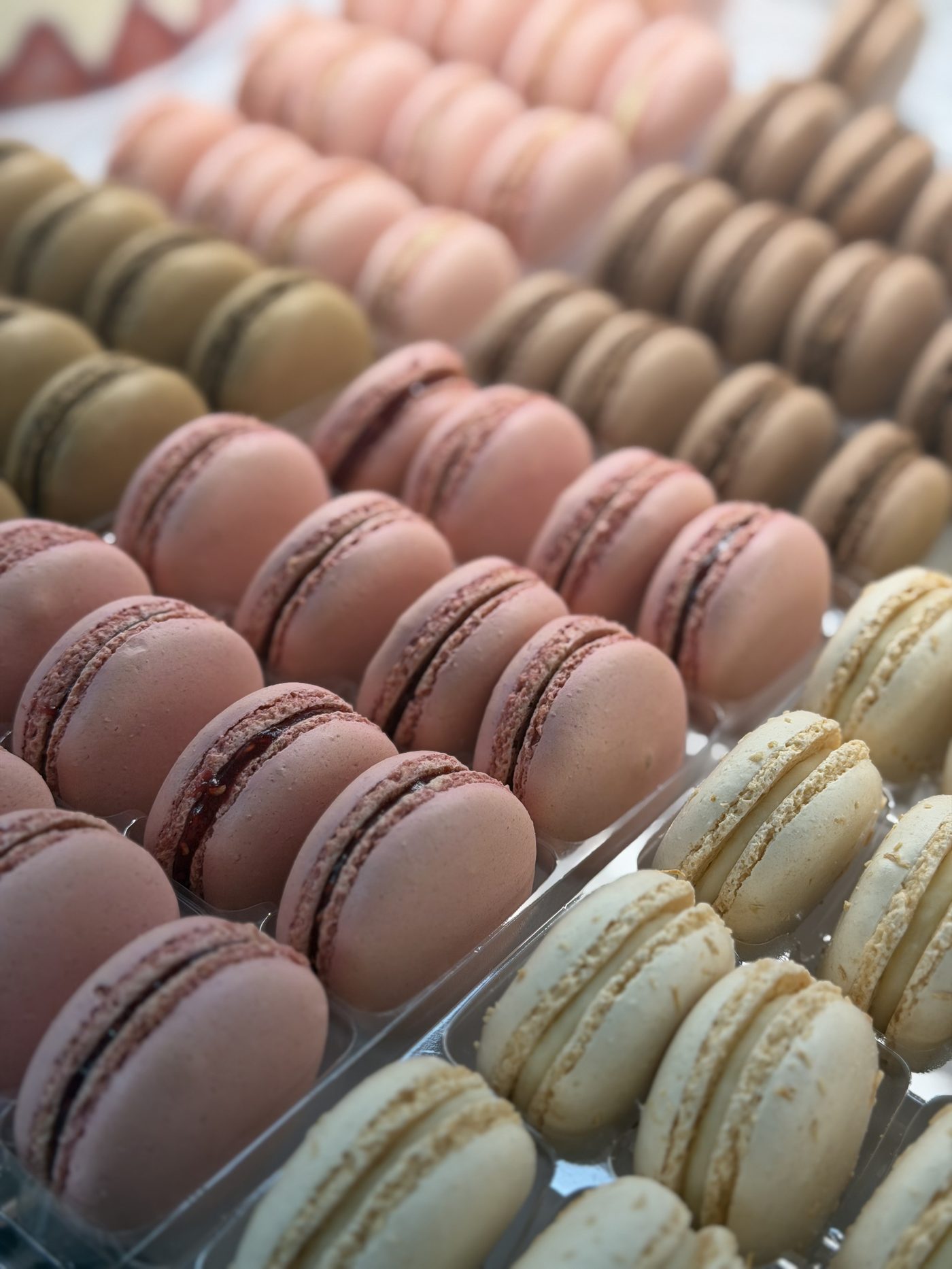 Macarons